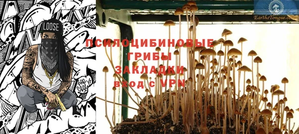 мяу мяу мука Баксан