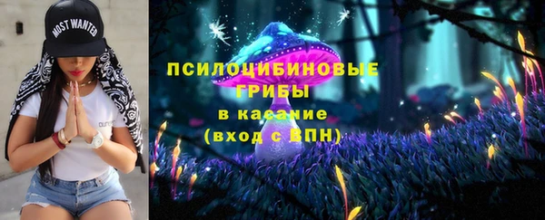мяу мяу мука Баксан